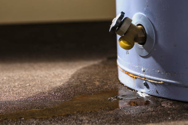 Water damage restoration insurance claims in FL