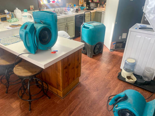 Best Carpet water damage restoration  in Stock Island, FL