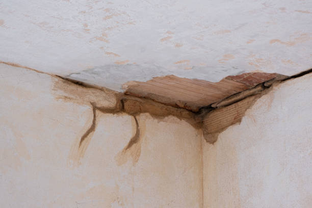 Best Local water damage restoration  in Stock Island, FL