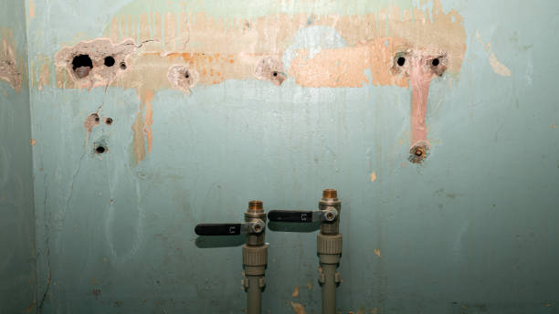 Best Water damage restoration near me  in Stock Island, FL