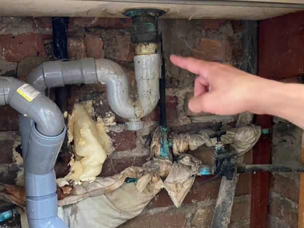 Best Fire Damage Restoration  in Stock Island, FL