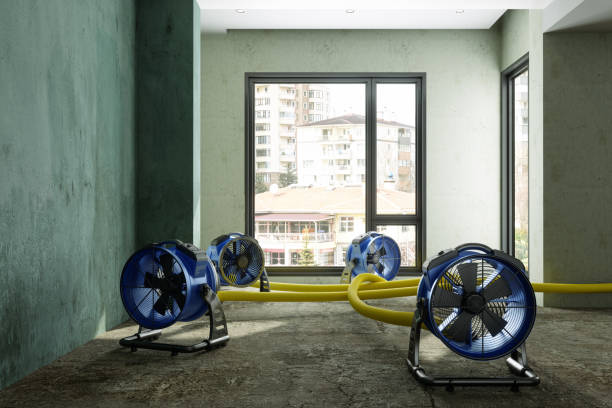 , FL Water damage restoration Company